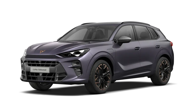 Cupra Terramar Probefahrt